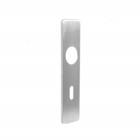 220mm Repair RTD Lever on Lock Cover Plate