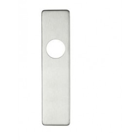 Stainless Steel Lever on LATCH coverplate PAIR