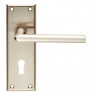 SEROZZETTA DIECI LEVER - BACKPLATE- Polished Nickel / Satin Nickel